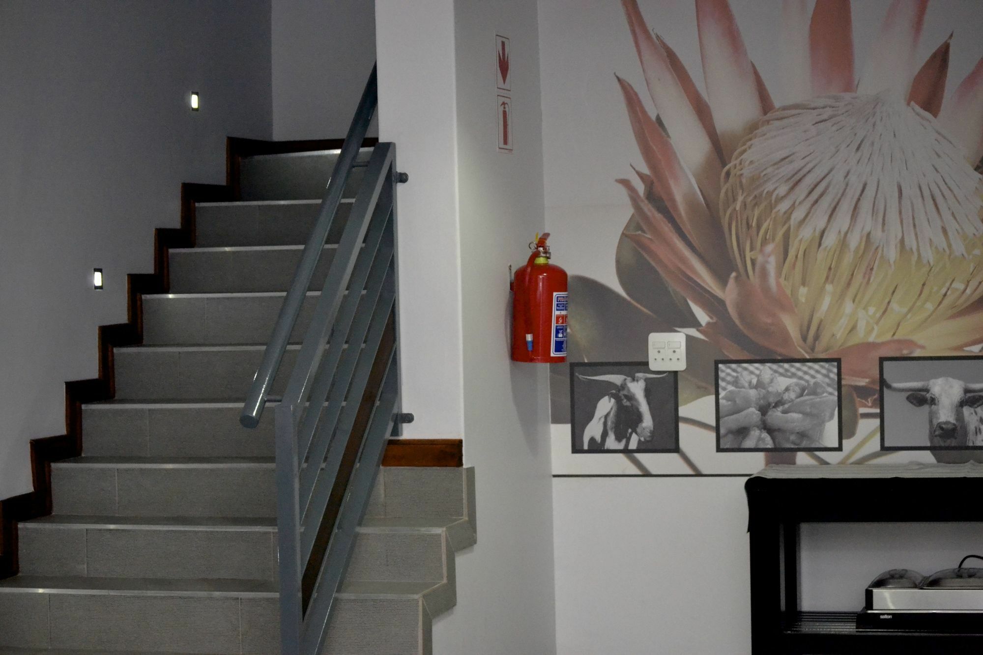 Yalla Yalla Boutique Hotel Уитбанк Екстериор снимка